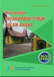 Payakumbuh Timur Subdistrict In Figures 2022